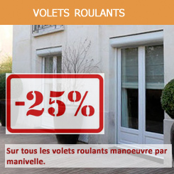 Volet Roulant Rénovation Aluminium 45